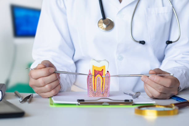 Best Emergency Dentist Open Today  in Wendell, NC